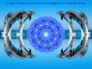 A Prayer Of Light For Our Marine Friends